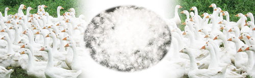 Life Material Section1