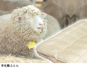 羊毛敷ふとん