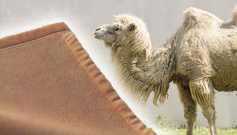 Camel blanket
