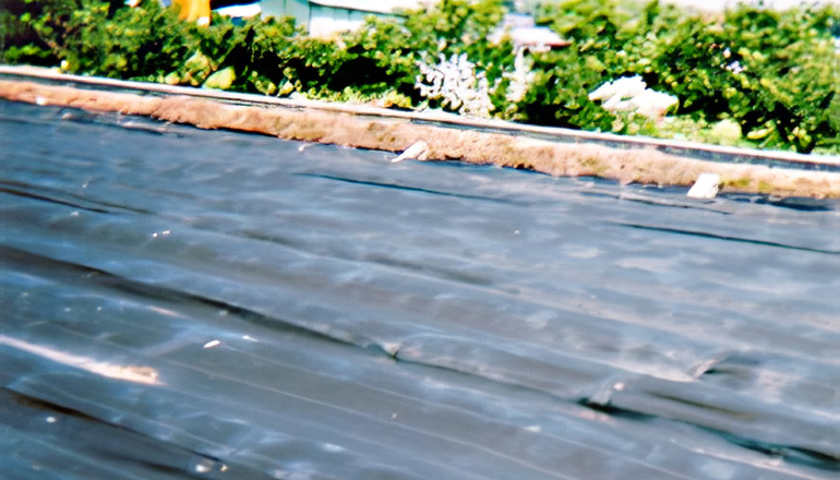 Weed prevention sheeting